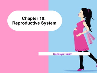 Chapter 10:
Reproductive System




                 Ruqayya Salam
 