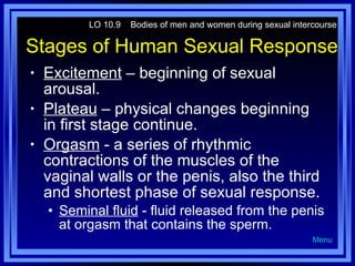 Stages of Human Sexual Response <ul><li>Excitement  – beginning of sexual arousal. </li></ul><ul><li>Plateau  – physical c...