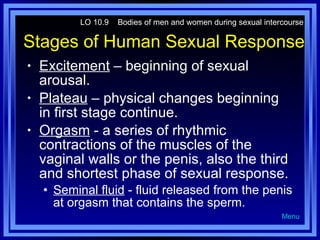 Stages of Human Sexual Response Excitement  – beginning of sexual arousal. Plateau  – physical changes beginning in first stage continue. Orgasm  - a series of rhythmic contractions of the muscles of the vaginal walls or the penis, also the third and shortest phase of sexual response. Seminal fluid  - fluid released from the penis at orgasm that contains the sperm. LO 10.9  Bodies of men and women during sexual intercourse Menu 