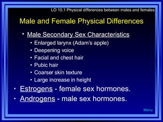 Male and Female Physical Differences Male Secondary Sex Characteristics   Enlarged larynx (Adam’s apple) Deepening voice Facial and chest hair Pubic hair Coarser skin texture Large increase in height Estrogens  - female sex hormones. Androgens  - male sex hormones.  LO 10.1 Physical differences between males and females Menu 