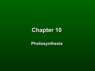 Chapter 10

Photosynthesis
 