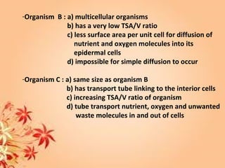 -Organism B : a) multicellular organisms
b) has a very low TSA/V ratio
c) less surface area per unit cell for diffusion of
nutrient and oxygen molecules into its
epidermal cells
d) impossible for simple diffusion to occur
-Organism C : a) same size as organism B
b) has transport tube linking to the interior cells
c) increasing TSA/V ratio of organism
d) tube transport nutrient, oxygen and unwanted
waste molecules in and out of cells
 