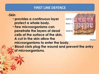 FIRST LINE DEFENCE
-Skin
• provides a continuous layer
protect a whole body.
• Few microorganisms can
penetrate the layers of dead
cells at the surface of the skin.
A cut in the skin allow the
microorganisms to enter the body.
• Blood clots plug the wound and prevent the entry
of microorganisms.
 