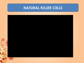 NATURAL KILLER CELLS
 