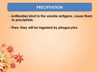 PRECIPITATION
- Antibodies bind to the soluble antigens, cause them
to precipitate.
- Then, they will be ingested by phagocytes.
 