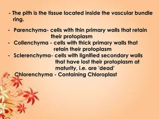- The pith is the tissue located inside the vascular bundle
ring.
- Parenchyma- cells with thin primary walls that retain
their protoplasm
- Collenchyma - cells with thick primary walls that
retain their protoplasm
- Sclerenchyma- cells with lignified secondary walls
that have lost their protoplasm at
maturity, i.e. are 'dead'
- Chlorenchyma - Containing Chloroplast
 