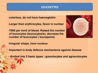 LEUCOCYTES
Leucocytes in blood
-colorless, do not have haemoglobin
-Larger than erythrocytes, fewer in number
-7000 per mm3 of blood. Raised the number
of leucocytes (leucocytosis), decrease the
number of leucocytes ( leucopenia)
-Irregular shape, have nucleus
-Important in body defence mechanisms against disease
- divided into 2 basic types : granulocytes and agranulocytes
 