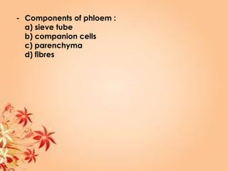 - Components of phloem :
a) sieve tube
b) companion cells
c) parenchyma
d) fibres
 