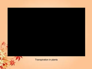 Transpiration in plants
 