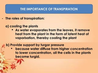 THE IMPORTANCE OF TRANSPIRATION
- The roles of transpiration:
a) cooling the plants
 As water evaporates from the leaves, it remove
heat from the plant in the form of latent heat of
vaporisation, thereby cooling the plant
b) Provide support by turgor pressure
 because water diffuse from higher concentration
to lower concentration, all the cells in the plants
become turgid.
 