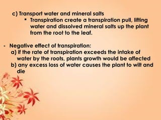 c) Transport water and mineral salts
 Transpiration create a transpiration pull, lifting
water and dissolved mineral salts up the plant
from the root to the leaf.
- Negative effect of transpiration:
a) if the rate of transpiration exceeds the intake of
water by the roots, plants growth would be affected
b) any excess loss of water causes the plant to wilt and
die
 