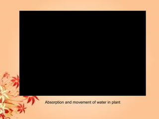 Absorption and movement of water in plant
 