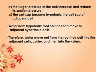 b) the turgor pressure of the cell increase and reduce
its suction pressure
c) the cell sap become hypotonic the cell sap of
adjacent cell
-Water from hypotonic root hair cell sap move to
adjacent hypertonic cells.
-Therefore, water move out from the root hair cell into the
adjacent cells, cortex and then into the xylem.
 