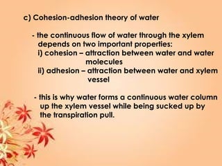 c) Cohesion-adhesion theory of water
- the continuous flow of water through the xylem
depends on two important properties:
i) cohesion – attraction between water and water
molecules
ii) adhesion – attraction between water and xylem
vessel
- this is why water forms a continuous water column
up the xylem vessel while being sucked up by
the transpiration pull.
 