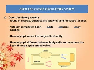 OPEN AND CLOSED CIRCULATORY SYSTEM
a) Open circulatory system
- found in insects, crustaceans (prawns) and molluscs (snails).
- “blood” pump from heart aorta arteries body
cavities.
- Haemolymph reach the body cells directly
- Haemolymph diffuses between body cells and re-enters the
heart through open-ended veins.
 