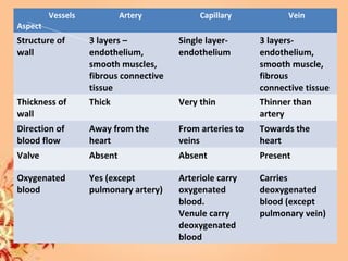 Vessels
Aspect
Artery Capillary Vein
Structure of
wall
3 layers –
endothelium,
smooth muscles,
fibrous connective
tissue
Single layer-
endothelium
3 layers-
endothelium,
smooth muscle,
fibrous
connective tissue
Thickness of
wall
Thick Very thin Thinner than
artery
Direction of
blood flow
Away from the
heart
From arteries to
veins
Towards the
heart
Valve Absent Absent Present
Oxygenated
blood
Yes (except
pulmonary artery)
Arteriole carry
oxygenated
blood.
Venule carry
deoxygenated
blood
Carries
deoxygenated
blood (except
pulmonary vein)
 