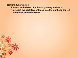 (c) Semi-lunar valves
 found at the base of pulmonary artery and aorta
 prevent the backflow of blood into the right and the left
ventricles when they relax.
 