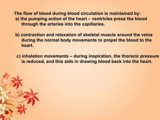 -The flow of blood during blood circulation is maintained by:
a) the pumping action of the heart – ventricles press the blood
through the arteries into the capillaries.
b) contraction and relaxation of skeletal muscle around the veins
during the normal body movements to propel the blood to the
heart.
c) inhalation movements – during inspiration, the thoracic pressure
is reduced, and this aids in drawing blood back into the heart.
 