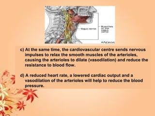 c) At the same time, the cardiovascular centre sends nervous
impulses to relax the smooth muscles of the arterioles,
causing the arterioles to dilate (vasodilation) and reduce the
resistance to blood flow.
d) A reduced heart rate, a lowered cardiac output and a
vasodilation of the arterioles will help to reduce the blood
pressure.
 
