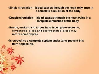 -Single circulation – blood passes through the heart only once in
a complete circulation of the body
-Double circulation – blood passes through the heart twice in a
complete circulation of the body
•lizards, snakes, and turtles have incomplete septums,
oxygenated blood and deoxygenated blood may
mix to some degree.
•In crocodiles a complete septum and a valve prevent this
from happening.
 