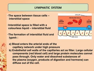 LYMPHATIC SYSTEM
-The space between tissue cells –
interstitial space
-Interstitial space is filled with a
colourless liquid – interstitial fluid
-The formation of interstitial fluid and
lypmh :
a) Blood enters the arterial ends of the
capillary network under high pressure
b) Endothelial cell walls of the capillaries act as filter. Large cellular
components (red blood cell) and large protein molecules cannot
pass through. Only water and dissolved substances of
the plasma (oxygen, products of digestion and hormone) can
diffuse out of the cell.
 
