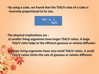 - By using a cube, we found that the TSA/V ratio of a cube is
inversely proportional to its size.
Size α 1
tsa/v
-The physical implications are :
a) smaller living organisms have larger TSA/V ratios. A large
TSA/V ratio helps in the efficient gaseous or solutes diffusion
b) larger living organisms have very small TSA/V ratios. A small
TSA/V ration limits the rate of gaseous or solutes diffusion.
 
