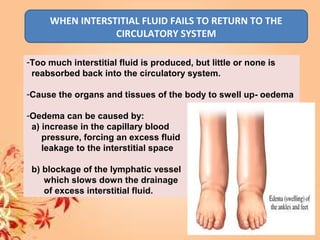 WHEN INTERSTITIAL FLUID FAILS TO RETURN TO THE
CIRCULATORY SYSTEM
-Too much interstitial fluid is produced, but little or none is
reabsorbed back into the circulatory system.
-Cause the organs and tissues of the body to swell up- oedema
-Oedema can be caused by:
a) increase in the capillary blood
pressure, forcing an excess fluid
leakage to the interstitial space
b) blockage of the lymphatic vessel
which slows down the drainage
of excess interstitial fluid.
 