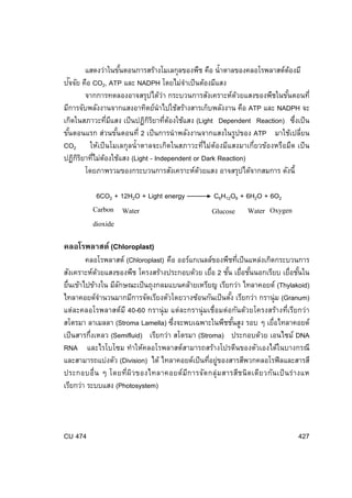 แสดงว่าในขันตอนการสร้างโมเลกุลของพืช คือ นํ้าตาลของคลอโรพลาสต์ตองมี
้
้
ั
ํ
ปจจัย คือ CO2, ATP และ NADPH โดยไม่จาเป็ นต้องมีแสง
จากการทดลองอาจสรุปได้ว่า กระบวนการสังเคราะห์ดวยแสงของพืชในขันตอนที่
้
้
มีการจับพลังงานจากแสงอาทิตย์นําไปใช้สร้างสารเก็บพลังงาน คือ ATP และ NADPH จะ
เกิดในสภาวะทีมแสง เป็ นปฏิกรยาทีตองใช้แสง (Light Dependent Reaction) ซึงเป็ น
่ ี
ิิ ่ ้
่
ขันตอนแรก ส่วนขันตอนที่ 2 เป็ นการนํ าพลังงานจากแสงในรูปของ ATP มาใช้เปลียน
้
้
่
CO2 ให้เป็ นโมเลกุลนํ้ าตาลจะเกิดในสภาวะที่ไม่ต้องมีแสงมาเกี่ยวข้องหรือมืด เป็ น
ปฏิกรยาทีไม่ตองใช้แสง (Light - Independent or Dark Reaction)
ิิ ่ ้
โดยภาพรวมของกระบวนการสังเคราะห์ดวยแสง อาจสรุปได้จากสมการ ดังนี้
้
6CO2 + 12H2O + Light energy

Carbon Water
dioxide

C6H12O6 + 6H2O + 6O2

Glucose

Water Oxygen

คลอโรพลาสต์ (Chloroplast)
คลอโรพลาสต์ (Chloroplast) คือ ออร์แกเนลล์ของพืชทีเป็ นแหล่งเกิดกระบวนการ
่
สังเคราะห์ดวยแสงของพืช โครงสร้างประกอบด้วย เยื่อ 2 ชัน เยื่อชันนอกเรียบ เยื่อชันใน
้
้
้
้
ยื่นเข้าไปข้างใน มีลกษณะเป็ นถุงกลมแบนคล้ายเหรียญ เรียกว่า ไทลาคอยด์ (Thylakoid)
ั
ไทลาคอยด์จานวนมากมีการจัดเรียงตัวโดยวางซ้อนกันเป็ นตัง เรียกว่า กรานุ่ม (Granum)
ํ
้
แต่ละคลอโรพลาสต์ม ี 40-60 กรานุ่ ม แต่ละกรานุ่ มเชื่อมต่อกันด้วยโครงสร้างที่เรียกว่า
สโตรมา ลาเมลลา (Stroma Lamella) ซึงจะพบเฉพาะในพืชชันสูง รอบ ๆ เยื่อไทลาคอยด์
่
้
เป็ นสารกึงเหลว (Semifluid) เรียกว่า สโตรมา (Stroma) ประกอบด้วย เอนไซม์ DNA
่
RNA และไรโบโซม ทําให้คลอโรพลาสต์สามารถสร้างโปรตีนของตัวเองได้ในบางกรณี
และสามารถแบ่งตัว (Division) ได้ ไทลาคอยด์เป็ นทีอยู่ของสารสีพวกคลอโรฟิลและสารสี
่
ประกอบอื่น ๆ โดยที่ผ ิว ของไทลาคอยด์ม ีก ารจัด กลุ่ ม สารสีช นิ ด เดีย วกัน เป็ น ร่ า งแห
เรียกว่า ระบบแสง (Photosystem)

CU 474

427

 