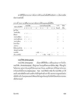 สารสีทใช้ในกระบวนการสังเคราะห์ดวยแสงในสิงมีชวตชนิดต่าง ๆ มีหลายชนิด
่ี
้
่ ีิ
ดังตารางต่อไปนี้
ตารางที่ 10.2.1 สารสีในกระบวนการสังเคราะห์ดวยแสงของสิงมีชวต
้
่ ีิ
ชนิดของสิงมีชวต
่ ีิ
ยูคาริโอต
มอสส์ เฟิรน
์
พืชดอก
สาหร่ายสีเขียว
สาหร่ายสีน้ําตาล
สาหร่ายสีแดง
โปรคาริโอต
สาหร่าย
สีเขียวแกมนํ้าเงิน
ซัลเฟอร์ เพอร์เพิล
แบคทีเรีย
กรีน แบคทีเรีย

คลอโรฟิล
a b c d

a

แบคเทอริโอคลอโรฟิล
คาโร
b c
d
e g ตินอยด์

ไฟโค
บิลน
ิ

+ + - -

+

-

+ + - + - + + - - +

+
+
+

+

+ - - +

+

+

+
+

-

- + หรือ + +
- + หรือ + หรือ + -

คลอโรฟิ ล (Chlorophyll)
คลอโรฟิ ล (Chlorophyll)
เป็ นสารสีท่ีมสเขียว เปลี่ยนแปลงมาจากโปรโตี ี
คลอโรฟิล (Protochlorophyll) เมือถูกแสง โมเลกุลมีโลหะแมกนีเซียม (Mg) ทีจบอยู่กบ
่
่ั
ั
ไนโตรเจน อยู่กลางโมเลกุ ลที่เป็ นวงแหวนคาร์บอน และมีส่วนหางที่เป็ นสารประกอบ
คาร์บอนกับไฮโดรเจน (Hydrocarbon Tail) คลอโรฟิ ลมี 4 ชนิด คือ คลอโรฟิ ล เอ บี ซี
และดี แต่ละชนิดมีโครงสร้างเคมีต่างกันทีกลุ่มด้านข้างเท่านัน และสามารถดูดแสงในช่วง
่
้
ั
คลื่นทีต่างกัน โมเลกุลของคลอโรฟิ ลจะฝงตัวอยู่บนโมเลกุลโปรตีนทีเป็ นองค์ประกอบของ
่
่
เยือไทลาคอยด์
่

CU 474

429

 