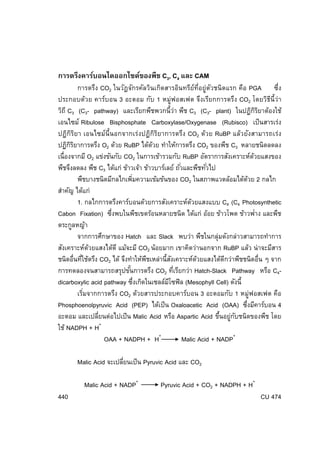 การตรึงคาร์บอนไดออกไซด์ของพืช C3, C4 และ CAM

การตรึง CO2 ในวัฎจักรคัลวินเกิดสารอินทรีย์ท่อยู่ตวชนิดแรก คือ PGA ซึ่ง
ี ั
ี
ประกอบด้วย คาร์บอน 3 อะตอม กับ 1 หมู่ฟอสเฟต จึงเรียกการตรึง CO2 โดยวิธน้ีว่า
ิิ
วิถี C3 (C3- pathway) และเรียกพืชพวกนี้ว่า พืช C3 (C3- plant) ในปฏิกรยาต้องใช้
เอนไซม์ Ribulose Bisphosphate Carboxylase/Oxygenase (Rubisco) เป็ นสารเร่ง
ปฏิกิรยา เอนไซม์น้ีนอกจากเร่งปฏิกิรยาการตรึง CO2 ด้วย RuBP แล้วยังสามารถเร่ง
ิ
ิ
้
ปฏิกรยาการตรึง O2 ด้วย RuBP ได้ดวย ทําให้การตรึง CO2 ของพืช C3 หลายชนิดลดลง
ิิ
้
เนื่องจากมี O2 แข่งขันกับ CO2 ในการเข้ารวมกับ RuBP อัตราการสังเคราะห์ดวยแสงของ
่
่
พืชจึงลดลง พืช C3 ได้แก่ ข้าวเจ้า ข้าวบาร์เลย์ ถัวและพืชทัวไป
พืชบางชนิดมีกลไกเพิมความเข้มข้นของ CO2 ในสภาพแวดล้อมได้ดวย 2 กลไก
่
้
สําคัญ ได้แก่
1. กลไกการตรึงคาร์บอนด้วยการสังเคราะห์ดวยแสงแบบ C4 (C4 Photosynthetic
้
่
Cabon Fixation) ซึงพบในพืชเขตร้อนหลายชนิด ได้แก่ อ้อย ข้าวโพด ข้าวฟาง และพืช
่
ตระกูลหญ้า
จากการศึกษาของ Hatch และ Slack พบว่า พืชในกลุ่มดังกล่าวสามารถทําการ
สังเคราะห์ดวยแสงได้ดี แม้จะมี CO2 น้อยมาก เขาคิดว่านอกจาก RuBP แล้ว น่ าจะมีสาร
้
ื
ั
้
ี
ชนิดอื่นทีใช้ตรึง CO2 ได้ จึงทําให้พชเหล่านี้สงเคราะห์ดวยแสงได้ดกว่าพืชชนิดอื่น ๆ จาก
่
่
การทดลองจนสามารถสรุปขันการตรึง CO2 ทีเรียกว่า Hatch-Slack Pathway หรือ C4้
dicarboxylic acid pathway ซึงเกิดในเซลล์มโซฟิล (Mesophyll Cell) ดังนี้
่
ี
เริมจากการตรึง CO2 ด้วยสารประกอบคาร์บอน 3 อะตอมกับ 1 หมู่ฟอสเฟต คือ
่
Phosphoenolpyruvic Acid (PEP) ได้เป็ น Oxaloacetic Acid (OAA) ซึงมีคาร์บอน 4
่
อะตอม และเปลียนต่อไปเป็ น Malic Acid หรือ Aspartic Acid ขึนอยู่กบชนิดของพืช โดย
่
้
ั
+
ใช้ NADPH + H
Malic Acid + NADP+
OAA + NADPH + H+
Malic Acid จะเปลียนเป็ น Pyruvic Acid และ CO2
่
Malic Acid + NADP+
440

Pyruvic Acid + CO2 + NADPH + H+
CU 474

 