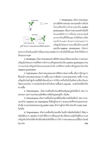 1. Phototropism เป็ นการตอบสนอง
อย่างมีทศทางต่อแสง ปลายยอดมีการเติบโต
ิ
โดยเคลื่ อ นไหวเข้ า หาแสงเป็ น positive
phototropism เนื่องจากปลายยอดด้านไม่ได้
รั บ แสงมี อ ั ต ราการยื ด ขยายของเซลล์
มากกว่าด้านที่ได้รบแสง ทําให้เกิดการโค้ง
ั
ง อ เ ข้ า ห า แ ส ง ส่ ว น ก า ร ง อ ก แ ล ะ ก า ร
เจริญ เติบ โตของรากจะเคลื่อ นไหวเบนหนี
รูปที่ 10.4.4 การตอบสนองของพืชต่อแสงสว่าง
แสงเป็ น negative phototropism เกิดจาก
ปลายรากด้านรับแสงมีการยืดขยายของเซลล์มากกว่าด้านไม่ได้รบแสง จึงทําให้เกิดการ
ั
โค้งออกจากแสง
2. Gravitropism เป็ นการตอบสนองอย่างมีทศทางต่อแรงโน้มถ่วงของโลก การงอกและ
ิ
เจริญเติบโตของรากจะมีทศทางเข้าหาแรงดึงดูดของโลกเป็ น positive gravitropism ส่วน
ิ
การงอกและเจริญ เติบ โตของยอดและลํ า ต้ น จะมีทิศ ทางหนี แ รงดึง ดู ด ของโลกเป็ น
negative gravitropism
3. Hydrotropism เป็ นการตอบสนองอย่างมีทศทางต่อความชืน เมือรากมีอายุมาก
ิ
้ ่
ขึนจะมีการตอบสนองต่อแสง ความชืน และการสัมผัส การตอบสนองต่อความชืน รากจะ
้
้
้
เจริญเติบโตเข้าสู่บริเวณทีมศกย์ของนํ้ ามาก ทําให้บางครังเป็ นไปในทิศทางเดียวกับแรง
่ ี ั
้
โน้มถ่วงของโลก รากจะเติบโตเข้าหานํ้าหรือความชืนส่วน hypcotyl จะเติบโตหนีน้ําหรือ
้
ความชืน
้
4. Thermotropism เป็ นการเคลื่อนไหวของพืชโดยมีอุณหภูมเิ ป็ นสิงเร้า เช่น การ
่
ออกดอก และการงอกของเมล็ดพืชบางชนิดในอุณหภูมต่า เป็ นต้น
ิํ
5. Chemotropism เป็ นการเคลือนไหวของพืชโดยมีสารเคมีเป็ นสิงเร้า เช่น รากจะ
่
่
งอกเข้าหา peptone และ asparagines ซึงมีอยูในอาหาร ละอองเกสรทีตกลงบนยอดเกสร
่
่
่
ตัวเมีย จะงอกหลอดละอองเรณู (pollen tube) เข้าหากลูโคส หรือกรดมาลิก (malic acid)
ในรังไข่
6. Thigmotropism เป็ นการเคลื่อนไหวของพืช โดยมีการสัมผัสเป็ นสิงเร้า พืชบาง
่
ชนิดมีมอเกาะ (tendril) ทําหน้ าที่ยดเกาะเพื่อพยุงลําต้น พืชหลายชนิดไม่มมอเกาะแต่
ื
ึ
ี ื
เจริญเติบโตโดยใช้ลําต้นเลื้อยพันกับสิงที่ยดเกาะได้ การตอบสนองแบบนี้มประโยชน์
่ ึ
ี
CU 474
469

 