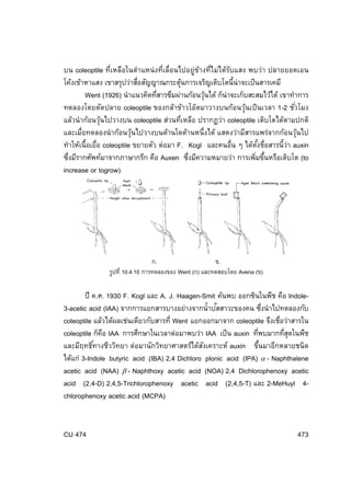 บน coleoptile ที่เหลือในตําแหน่ งที่เลื่อนไปอยู่ขางที่ไม่ได้รบแสง พบว่า ปลายยอดเอน
้
ั
โค้งเข้าหาแสง เขาสรุปว่าสือสัญญาณกระตุนการเจริญเติบโตนี้น่าจะเป็ นสารเคมี
่
้
Went (1926) นําแนวคิดทีสารซึมผ่านก้อนวุนได้ ก็น่าจะเก็บสะสมไว้ได้ เขาทําการ
่
้
ทดลองโดยตัดปลาย coleoptile ของกล้าข้าวโอ๊ตมาวางบนก้อนวุนเป็ นเวลา 1-2 ชัวโมง
้
่
แล้วนําก้อนวุนไปวางบน coleoptile ส่วนทีเหลือ ปรากฏว่า coleoptile เติบโตได้ตามปกติ
้
่
และเมื่อทดลองนํ าก้อนวุนไปวางบนด้านใดด้านหนึ่งได้ แสดงว่ามีสารแพร่จากก้อนวุนไป
้
้
ทําให้เนื้อเยื่อ coleoptile ขยายตัว ต่อมา F. Kogl และคนอื่น ๆ ได้ตงชือสารนี้วา auxin
ั้ ่
่
ซึงมีรากศัพท์มาจากภาษากรีก คือ Auxen ซึงมีความหมายว่า การเพิมขึนหรือเติบโต (to
่
่
่ ้
increase or togrow)

ก.
ข.
รูปที่ 10.4.10 การทดลองของ Went (ก) และทดสอบโดย Avena (ข)

ปี ค.ศ. 1930 F. Kogl และ A. J. Haagen-Smit ค้นพบ ออกซินในพืช คือ Indoleั
3-acetic acid (IAA) จากการแยกสารบางอย่างจากนํ้าปสสาวะของคน ซึงนําไปทดลองกับ
่
coleoptile แล้วได้ผลเช่นเดียวกับสารที่ Went แยกออกมาจาก coleoptile จึงเชือว่าสารใน
่
coleoptile ก็คอ IAA การศึกษาในเวลาต่อมาพบว่า IAA เป็ น auxin ทีพบมากทีสดในพืช
ื
่
ุ่
และมีฤทธิทางชีววิทยา ต่อมานักวิทยาศาสตร์ได้สงเคราะห์ auxin ขึนมาอีกหลายชนิด
ั
้
์
ได้แก่ 3-Indole butyric acid (IBA) 2,4 Dichloro plonic acid (IPA) α - Naphthalene
acetic acid (NAA) β - Naphthoxy acetic acid (NOA) 2,4 Dichlorophenoxy acetic
acid (2,4-D) 2,4,5-Trichlorophenoxy acetic acid (2,4,5-T) และ 2-MeHuyl 4chlorophenoxy acetic acid (MCPA)

CU 474

473

 