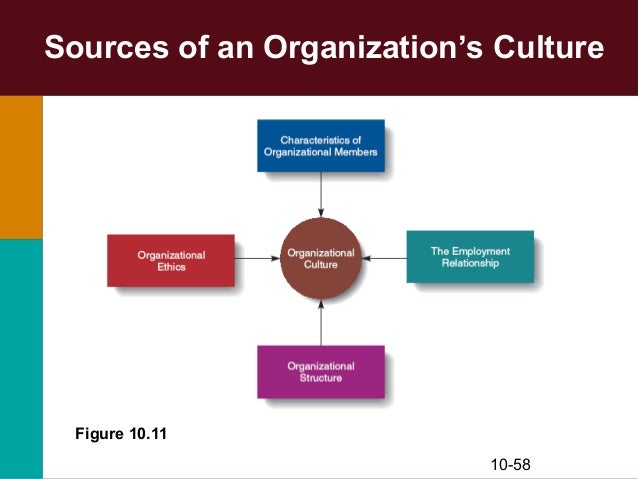 what makes up culture