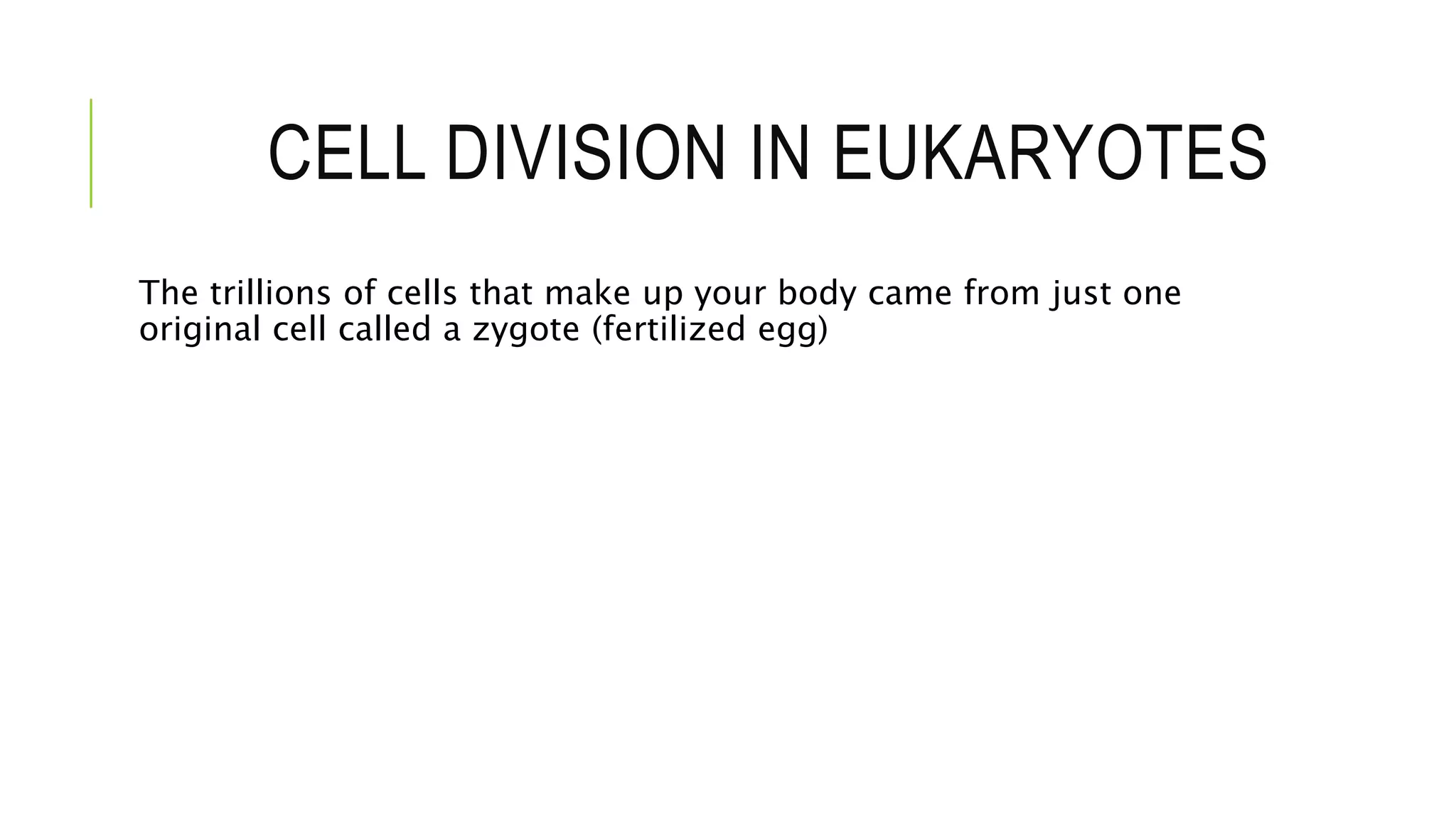 CELL DIVISION IN EUKARYOTES
The trillions of cells that make up your body came from just one
original cell called a zygote (fertilized egg)
 
