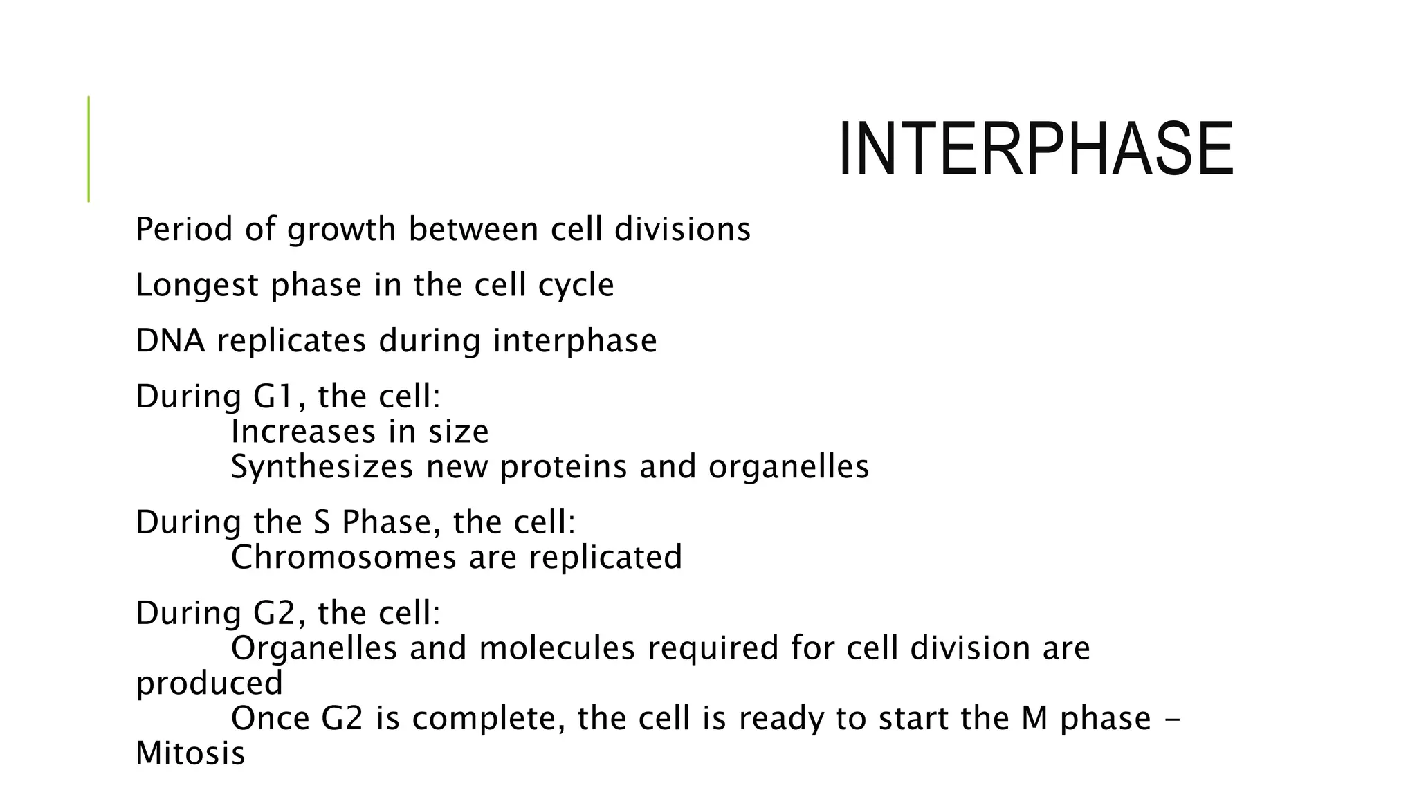 INTERPHASE
Period of growth between cell divisions
Longest phase in the cell cycle
DNA replicates during interphase
During G1, the cell:
Increases in size
Synthesizes new proteins and organelles
During the S Phase, the cell:
Chromosomes are replicated
During G2, the cell:
Organelles and molecules required for cell division are
produced
Once G2 is complete, the cell is ready to start the M phase -
Mitosis
 
