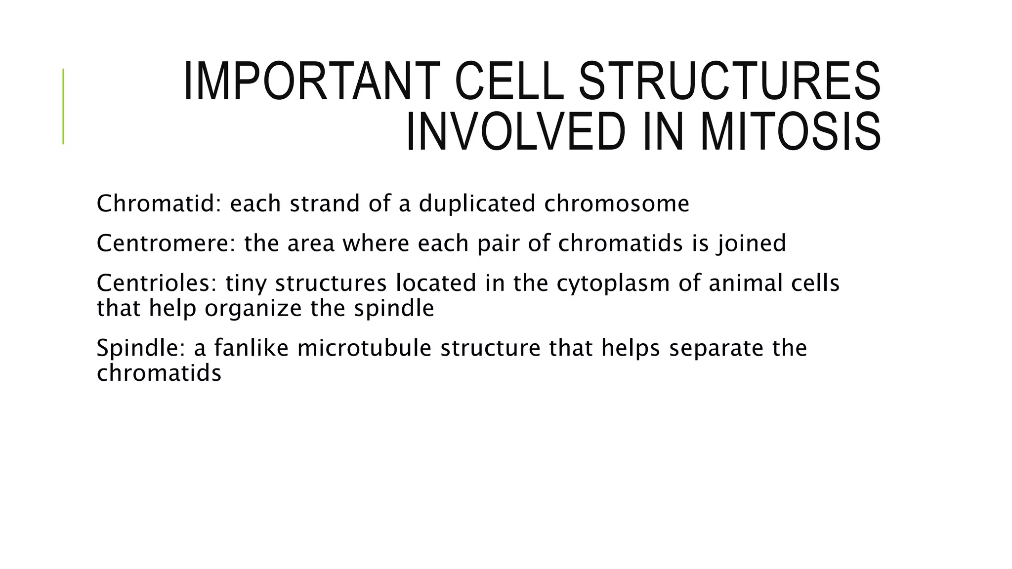 IMPORTANT CELL STRUCTURES
INVOLVED IN MITOSIS
Chromatid: each strand of a duplicated chromosome
Centromere: the area where each pair of chromatids is joined
Centrioles: tiny structures located in the cytoplasm of animal cells
that help organize the spindle
Spindle: a fanlike microtubule structure that helps separate the
chromatids
 