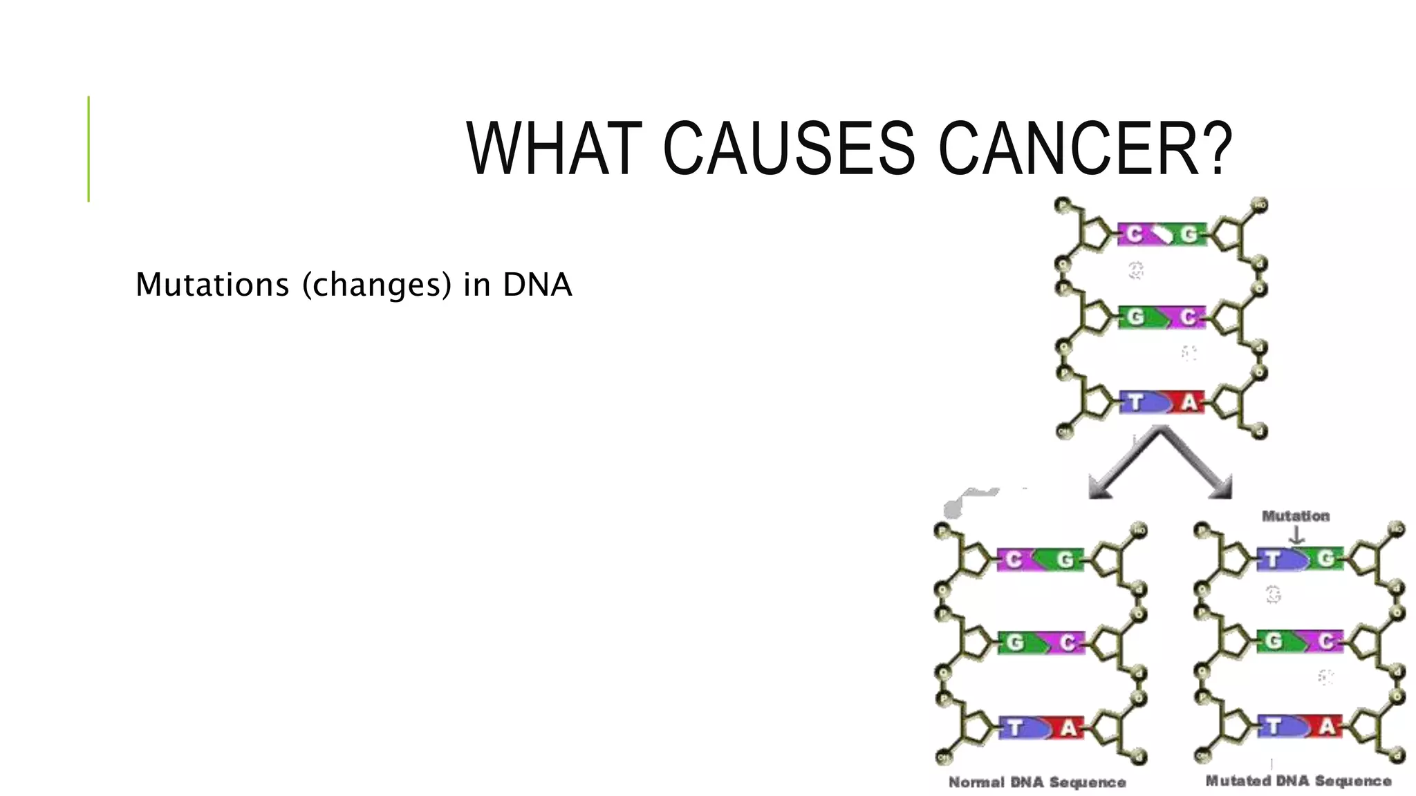 WHAT CAUSES CANCER?
Mutations (changes) in DNA
 