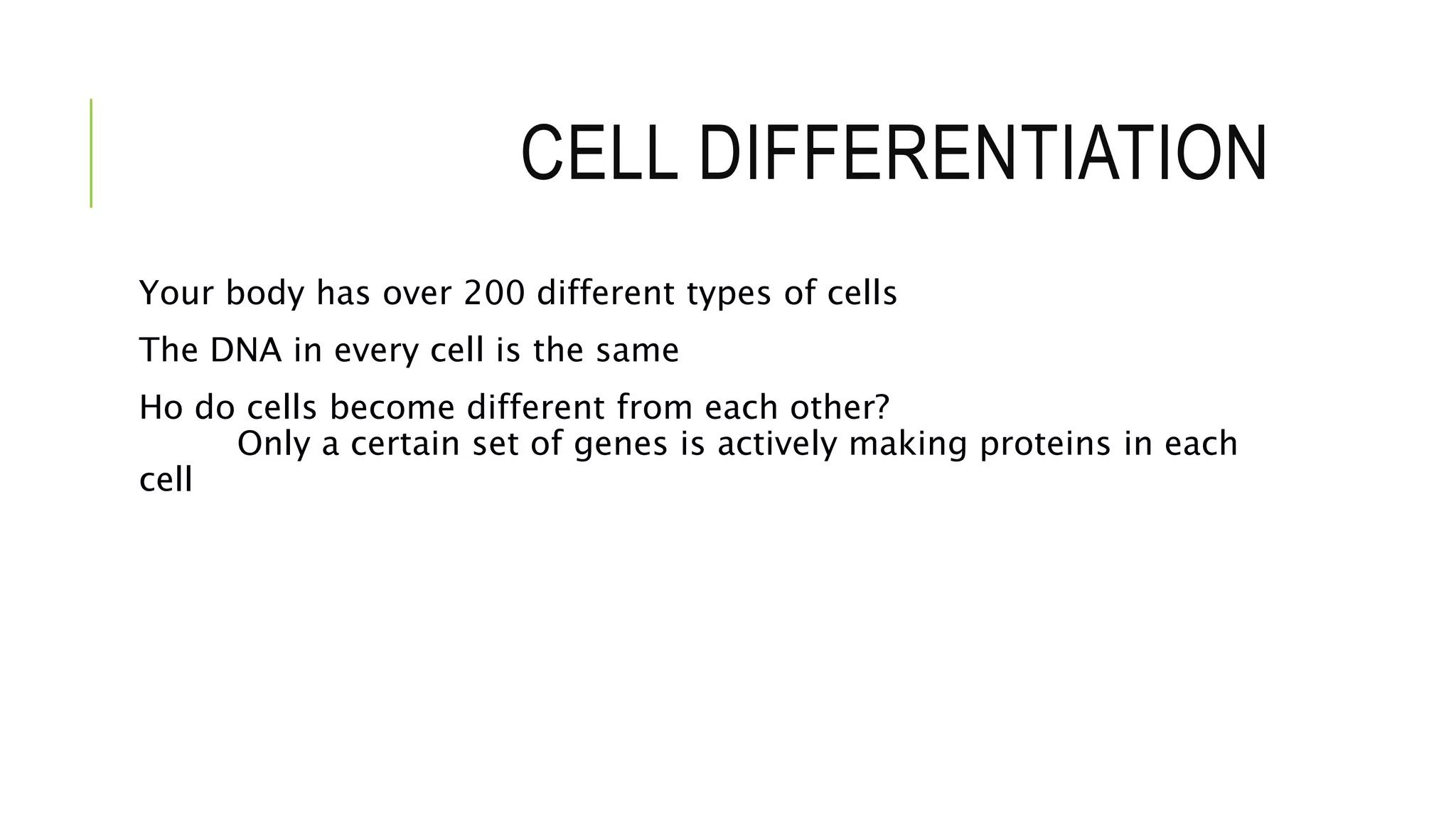 CELL DIFFERENTIATION
Your body has over 200 different types of cells
The DNA in every cell is the same
Ho do cells become different from each other?
Only a certain set of genes is actively making proteins in each
cell
 