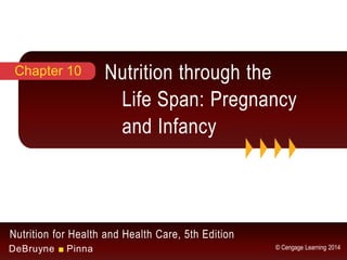 Nutrition for Health and Health Care, 5th Edition
DeBruyne ■ Pinna © Cengage Learning 2014
Nutrition through the
Life Span: Pregnancy
and Infancy
Chapter 10
 