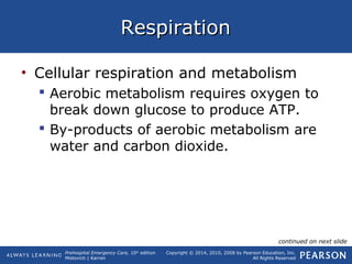 Prehospital Emergency Care, 10th
edition
Mistovich | Karren
Copyright © 2014, 2010, 2008 by Pearson Education, Inc.
All Rights Reserved
RespirationRespiration
• Cellular respiration and metabolism
 Aerobic metabolism requires oxygen to
break down glucose to produce ATP.
 By-products of aerobic metabolism are
water and carbon dioxide.
continued on next slide
 