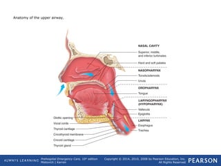 Prehospital Emergency Care, 10th
edition
Mistovich | Karren
Copyright © 2014, 2010, 2008 by Pearson Education, Inc.
All Rights Reserved
Anatomy of the upper airway.
 