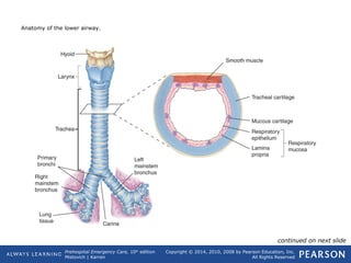 Prehospital Emergency Care, 10th
edition
Mistovich | Karren
Copyright © 2014, 2010, 2008 by Pearson Education, Inc.
All Rights Reserved
Anatomy of the lower airway.
continued on next slide
 