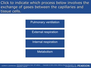 Prehospital Emergency Care, 10th
edition
Mistovich | Karren
Copyright © 2014, 2010, 2008 by Pearson Education, Inc.
All Rights Reserved
Click to indicate which process below involves theClick to indicate which process below involves the
exchange of gases between the capillaries andexchange of gases between the capillaries and
tissue cells.tissue cells.
Pulmonary ventilation
External respiration
Internal respiration
Metabolism
 