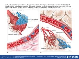 Prehospital Emergency Care, 10th
edition
Mistovich | Karren
Copyright © 2014, 2010, 2008 by Pearson Education, Inc.
All Rights Reserved
(a) Alveolar/capillary gas exchange. Oxygen moves from the lung alveolus into the capillary. Carbon dioxide
moves from the capillary into the lung. (b) Capillary/cell gas exchange. Oxygen and nutrients move from the
capillary into the cell. Carbon dioxide and other wastes move from the cell into the capillary.
 