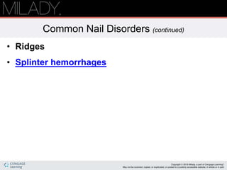 Nail disorders and diseases; Basic Introducion | PPTX