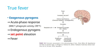Endogenous Pyrogens Comprehensive Overview of Fever and Hyperthermia in Clinical Practice ...