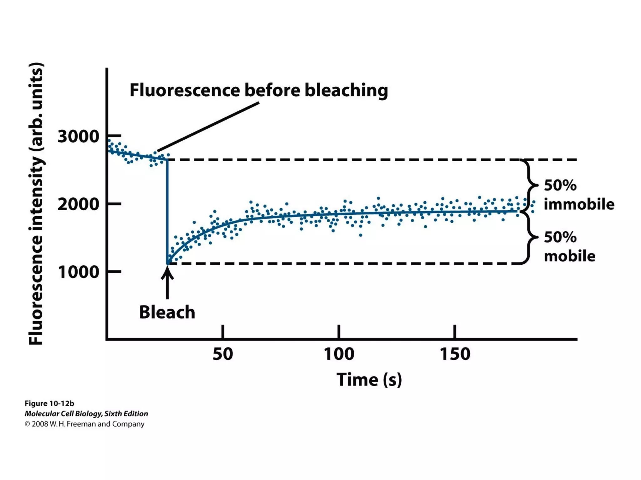 Chapter10 biomembranestructure-140105093829-phpapp02