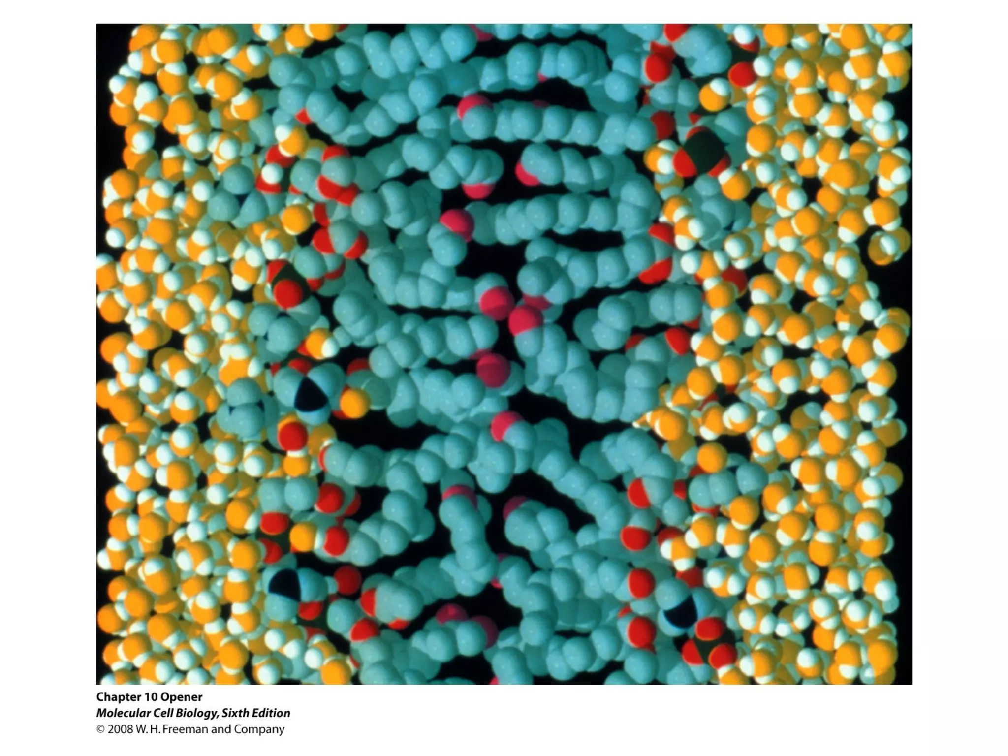Chapter10 biomembranestructure-140105093829-phpapp02