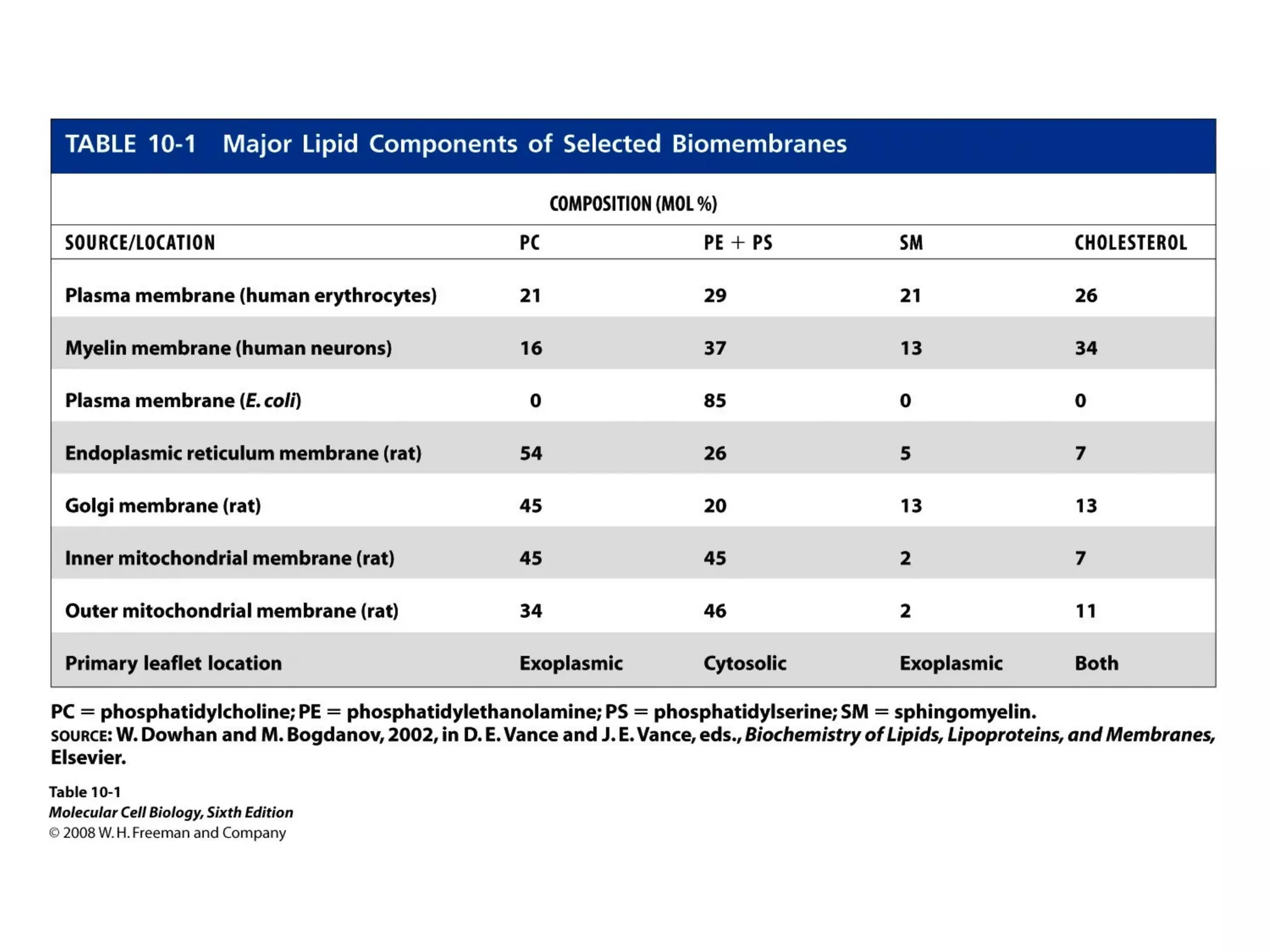 Chapter10 biomembranestructure-140105093829-phpapp02