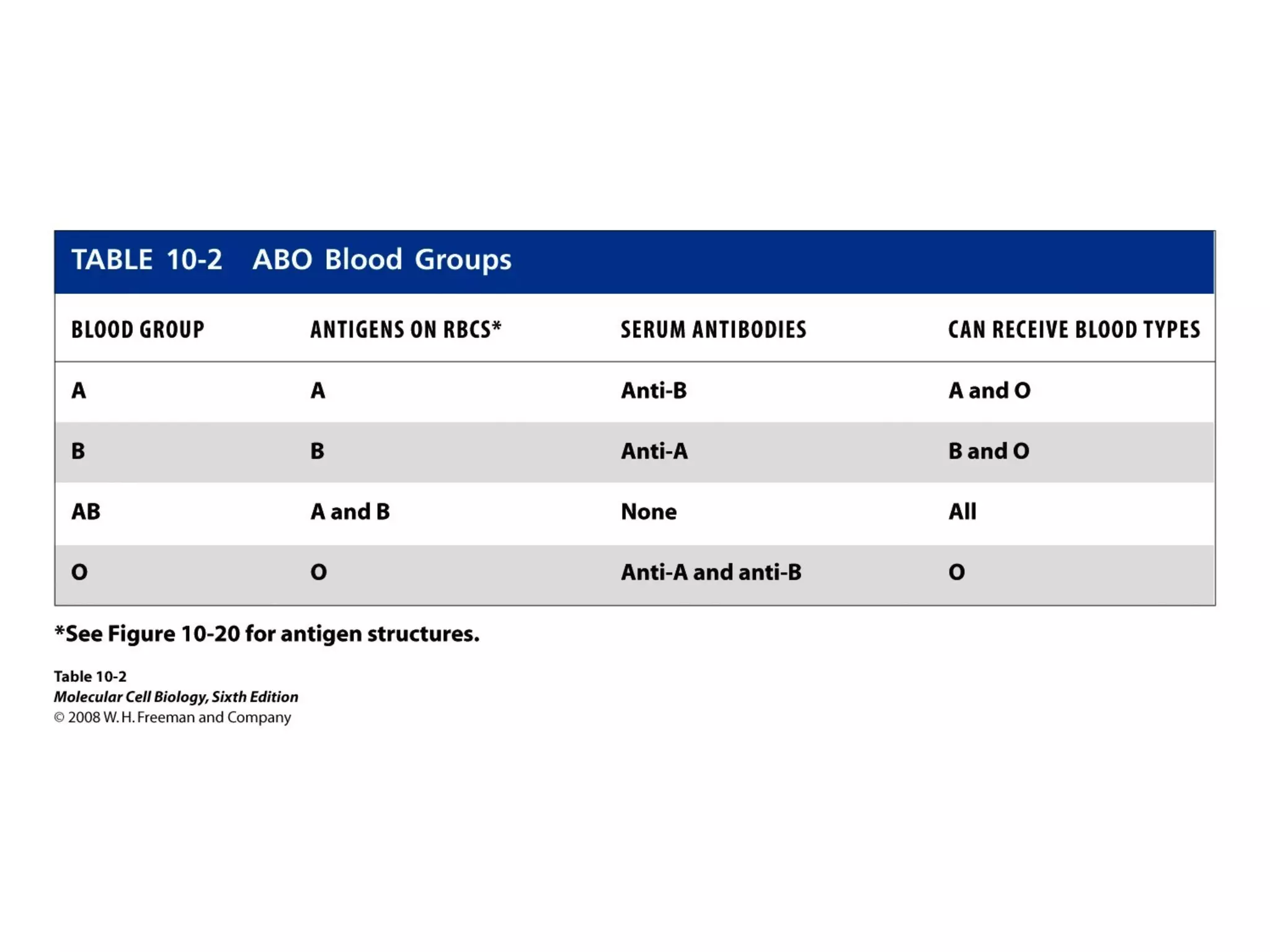 Chapter10 biomembranestructure-140105093829-phpapp02
